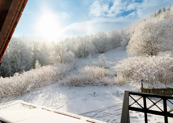 Appartement Wonder - Karkonosz Blisko Wyciagow Narciarskich, Szlakow I Restauracji