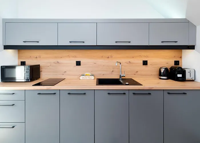 Wonder - Karkonosz Blisko Wyciagow Narciarskich, Szlakow I Restauracji *