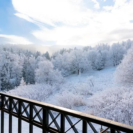 Wonder - Karkonosz Blisko Wyciagow Narciarskich, Szlakow I Restauracji Apartament